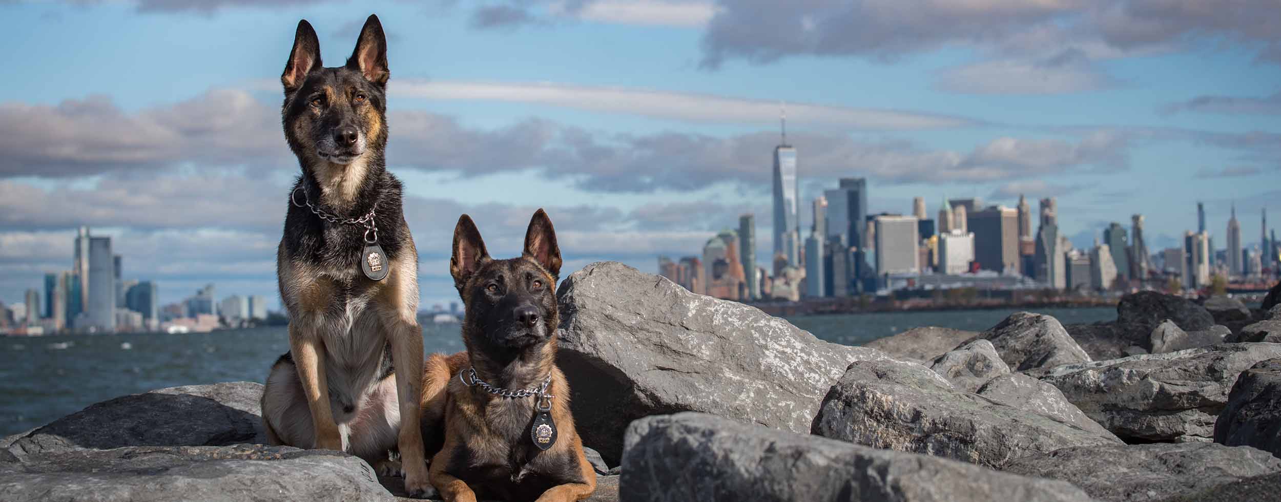 2020 NYPD Calendar - New York City Police Foundation